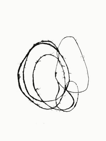 Monotipo4: Pene2 - 2009 - Soporte 32x23cm - Plancha 16x12cm - Papel 250gr. Canson Guarro