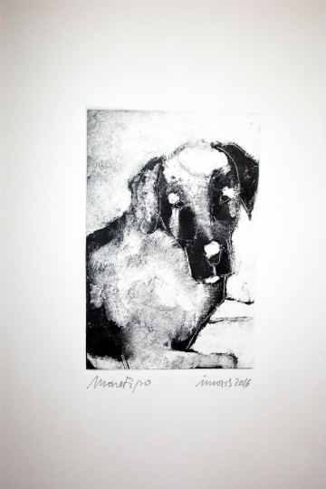 Monotipo: Charo Hera - 2016 - Soporte 38x28cm - Plancha 16x12cm - Papel 250gr. Canson Guarro - VENDIDO