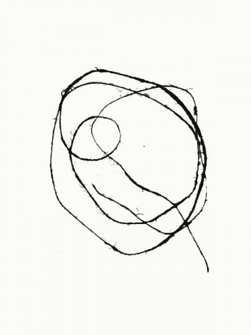 Monotipo5: Pene 3 - 2009 - Soporte 32x23cm - Plancha 16x12cm - Papel 250gr. Canson Guarro