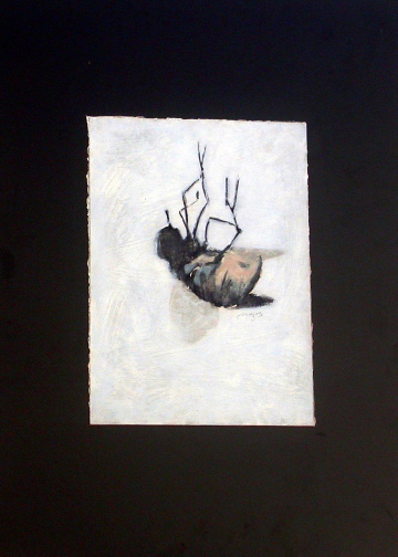 La mosca 1 - 35x25cm -Óleo Cartón -2000 - VENDIDO